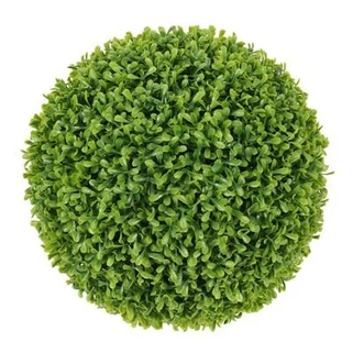 Piłka z bukszpanu z wiszącą ścianą